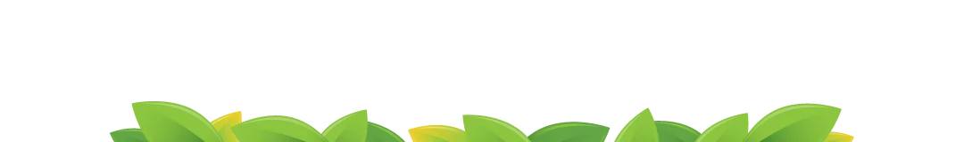 Dee's Tea Co.